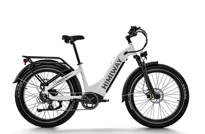 D5 All-Terrain Electric Fat Tire Bike Zebra