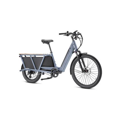 Packer 1 E-Bike