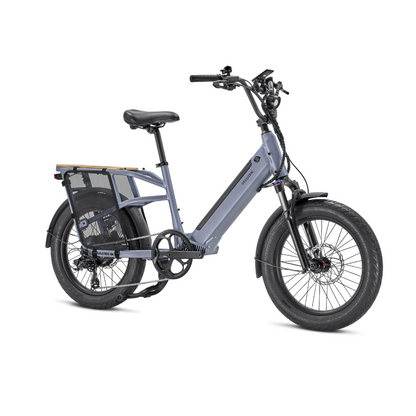 Go 1 E-Bike