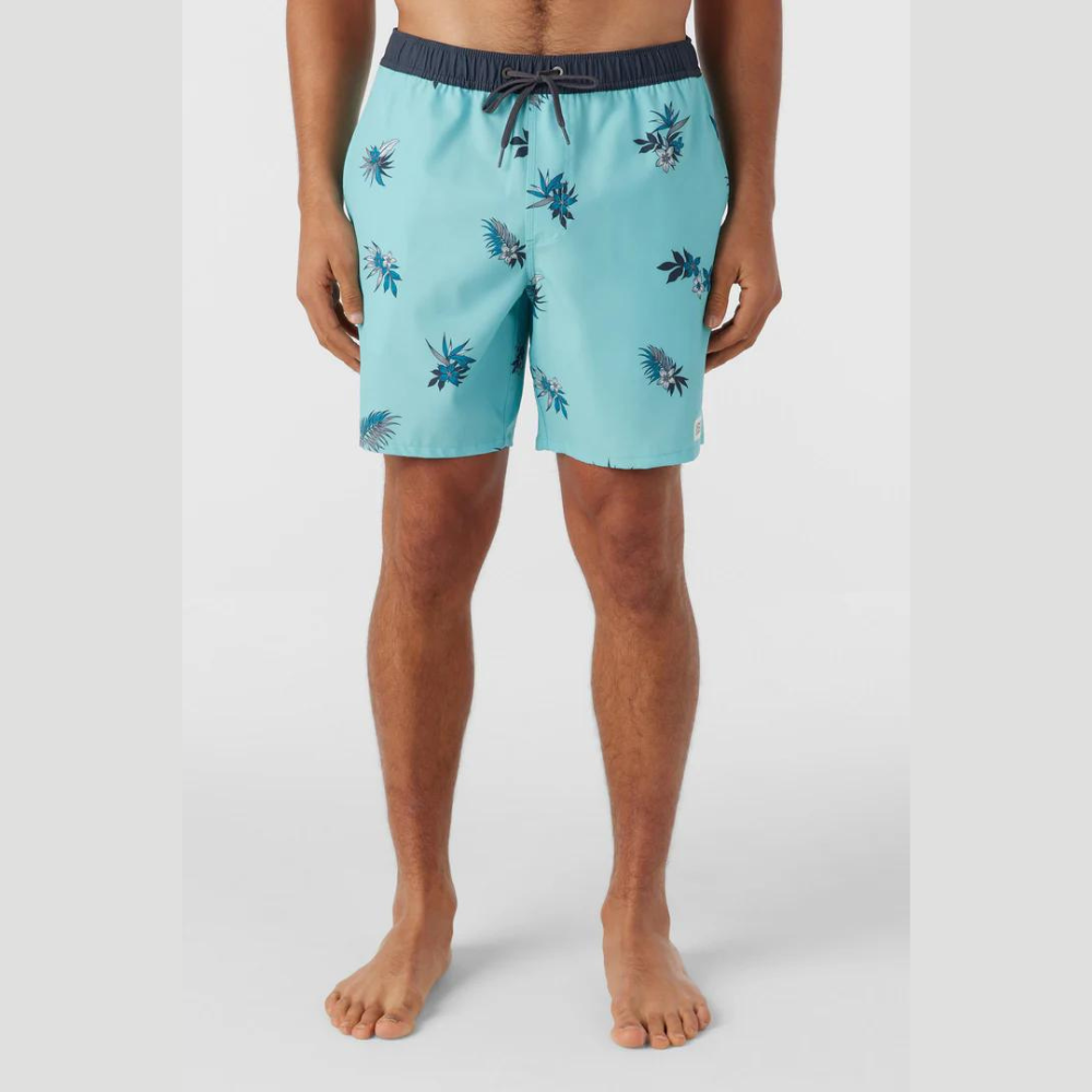 Hermosa Elastic Waist Swim Trunks