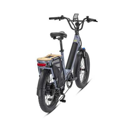 Go 1 E-Bike