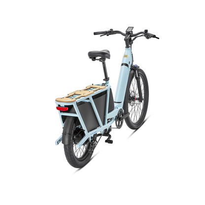 Packer 1 E-Bike