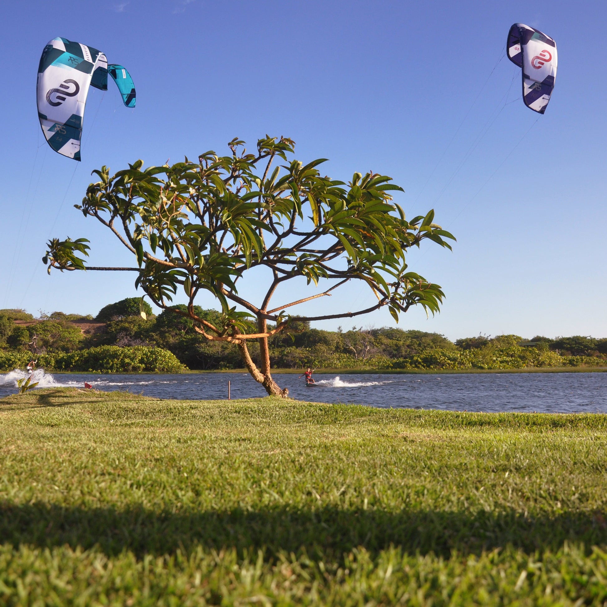 Eleveight RS V8 Kite