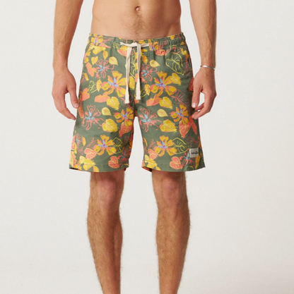 Frequency 17" Trunk Critical Slide Society