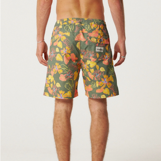 Frequency 17" Trunk Critical Slide Society