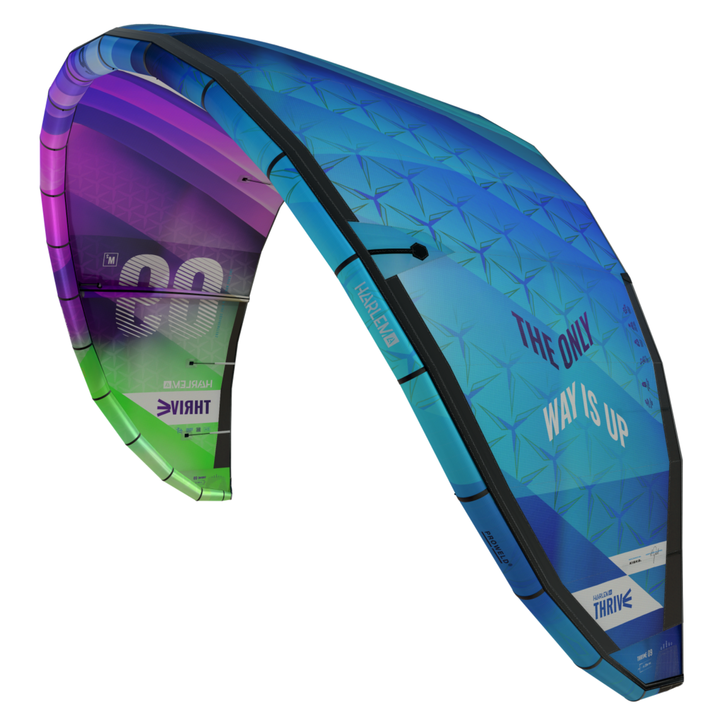 Harlem Thrive Kite
