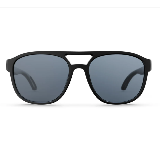 Lanier Polarized Sunglasses