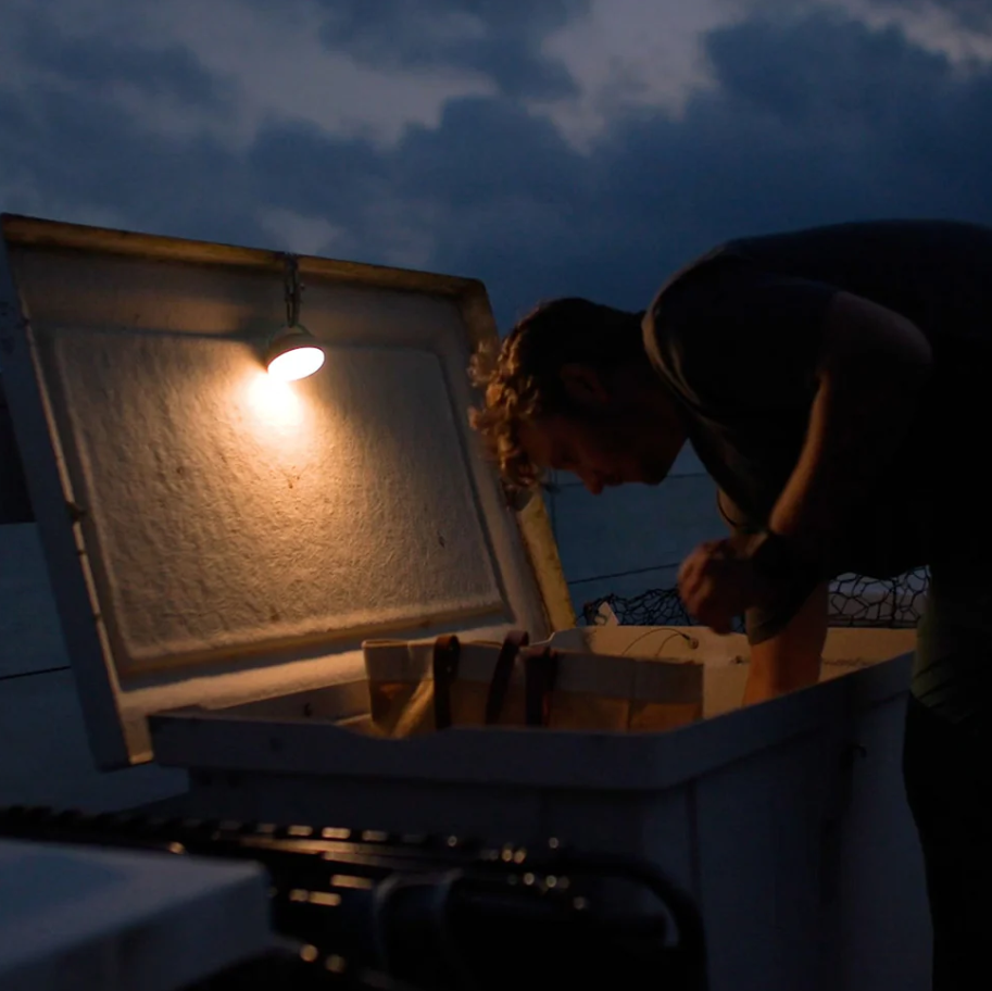 Stowaway LED Lantern