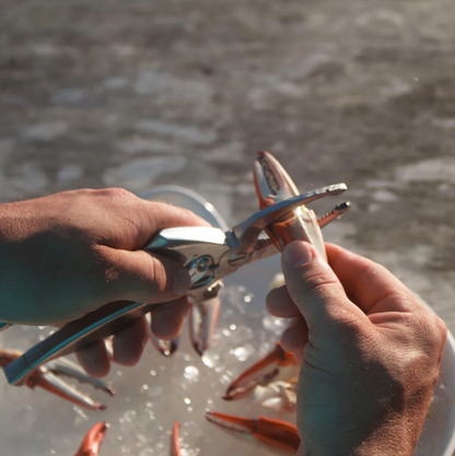 Toadfish Crab Claw Cutter: Clean Cuts & Minimal Shell Fragments