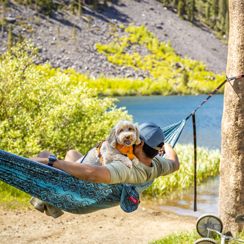Trunk Tech Double Hammock