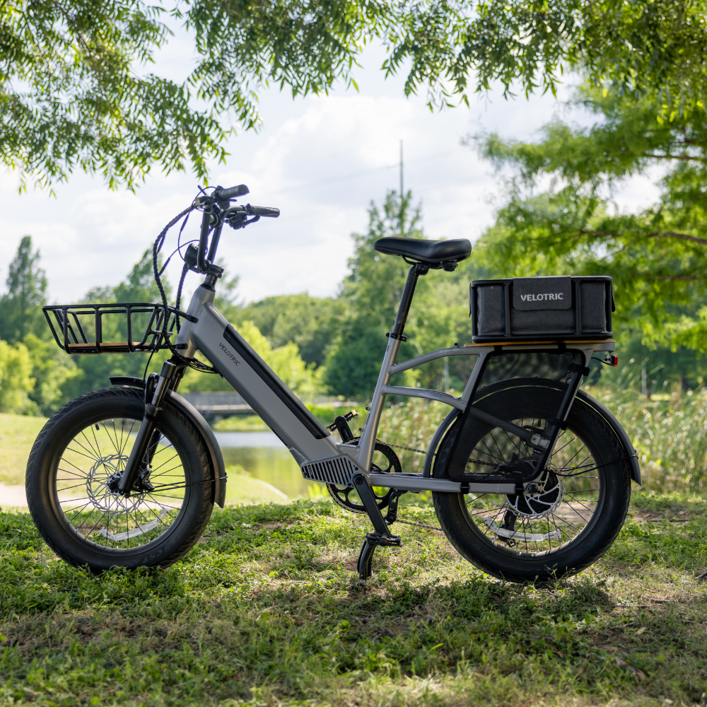 Go 1 E-Bike