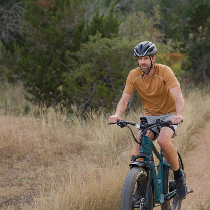 Velotric Nomad 1+ E-Bike